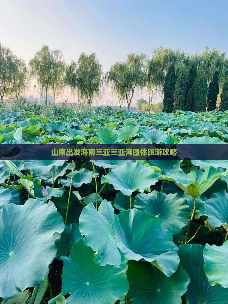 山南出发三亚三亚湾团体旅游