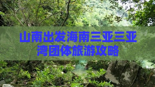 山南出发三亚三亚湾团体旅游