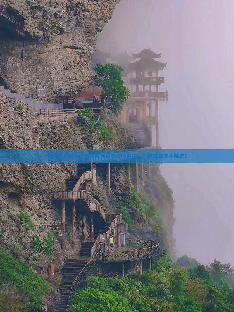 滨州出发三亚亚龙湾热带森林公园自由行