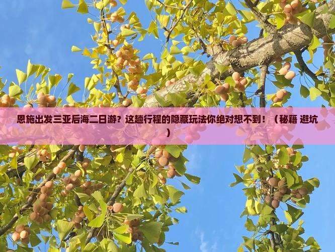 恩施出发三亚后海二日游
