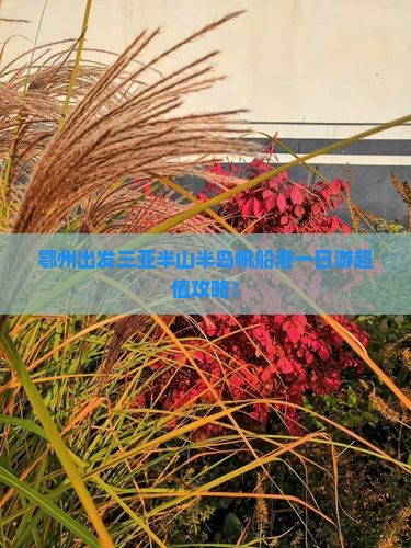 鄂州出发三亚半山半岛帆船港一日游