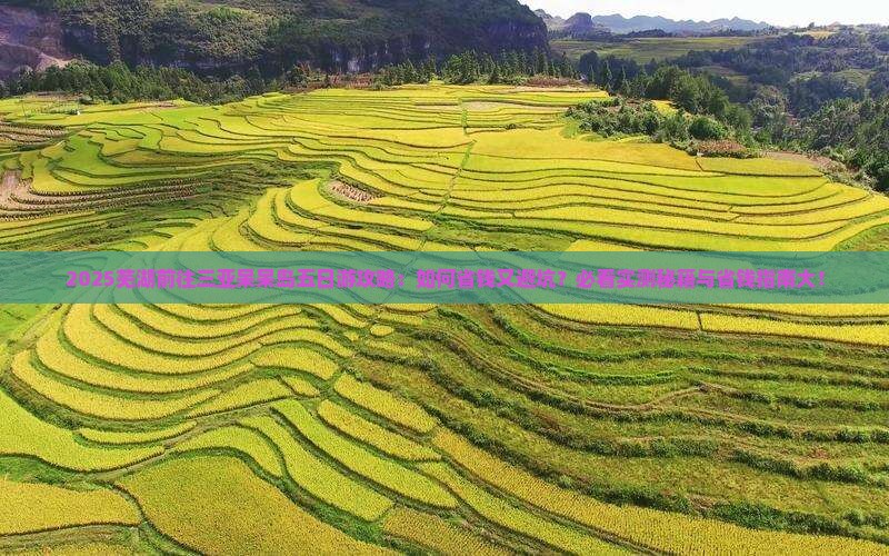 芜湖前往三亚呆呆岛五日游
