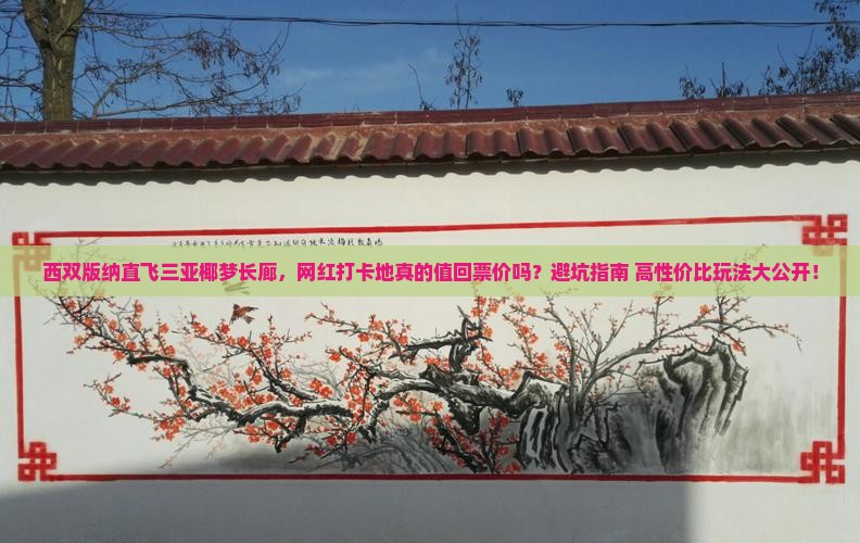 西双版纳前往三亚椰梦长廊旅游网红地点