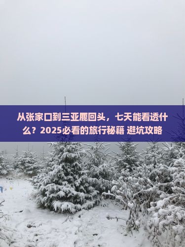 张家口去三亚鹿回头七日游