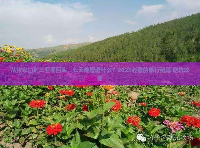 张家口去三亚鹿回头七日游