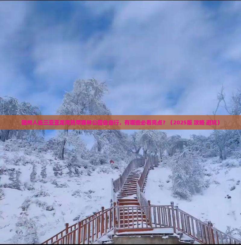 随州去三亚亚龙湾热带森林公园个人游