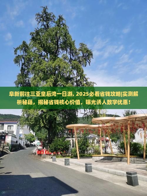 阜新前往三亚皇后湾一日游