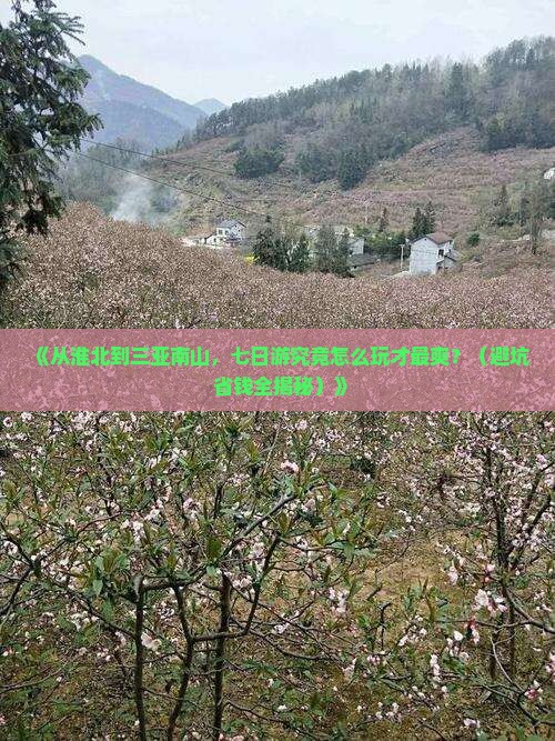 淮北出发三亚南山文化旅游区七日游