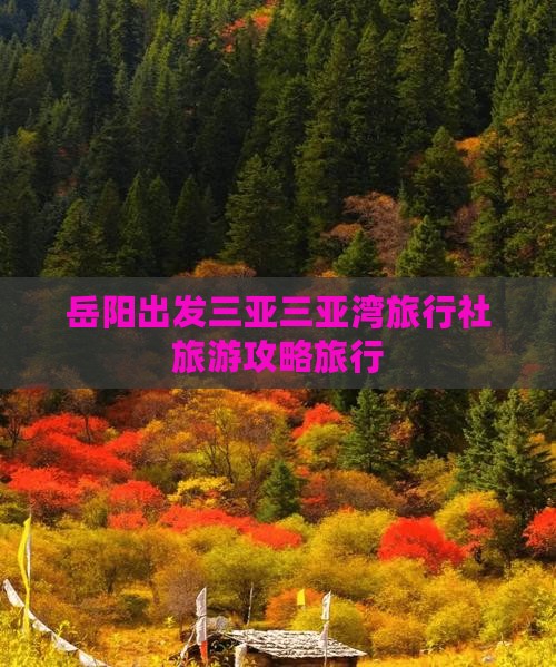 岳阳出发三亚三亚湾旅行社