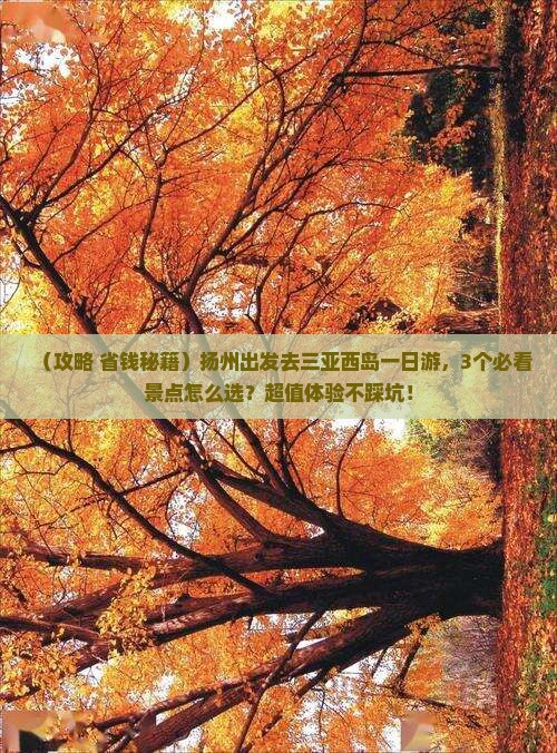 扬州前往三亚西岛一日游