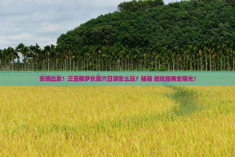安顺出发三亚椰梦长廊六日游