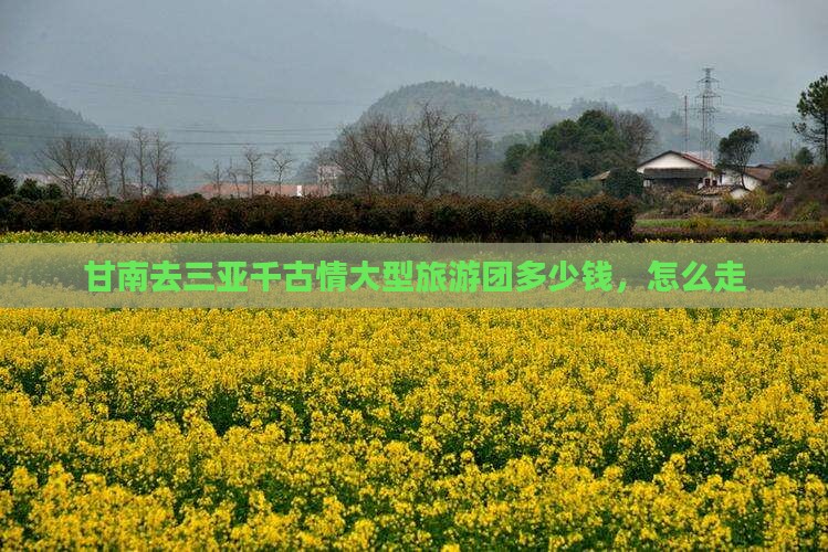 甘南去三亚千古情大型旅游团