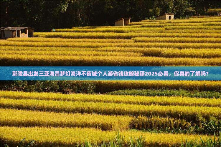 鄢陵县出发三亚海昌梦幻海洋不夜城个人游