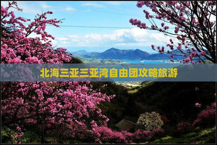 北海出发三亚三亚湾自由团