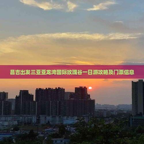 昌吉出发三亚亚龙湾国际玫瑰谷一日游