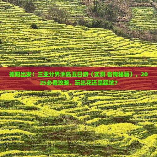 德阳前往三亚分界洲岛五日游