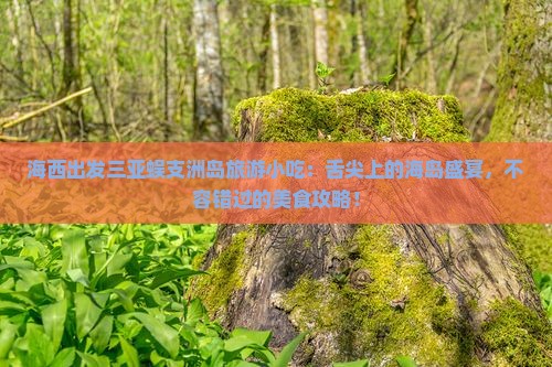 海西出发三亚蜈支洲岛旅游小吃