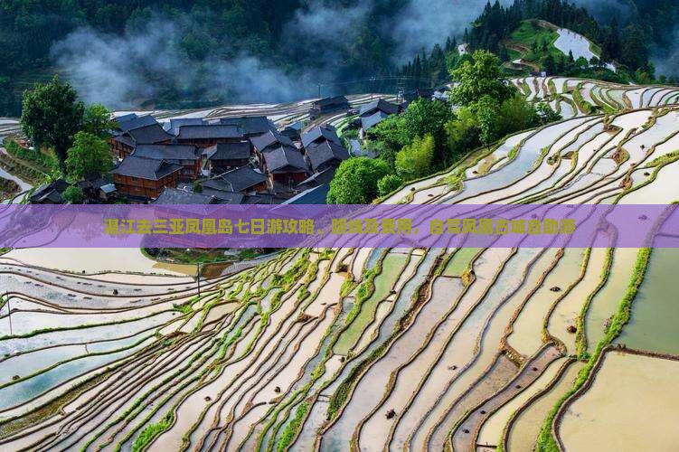 湛江去三亚凤凰岛七日游