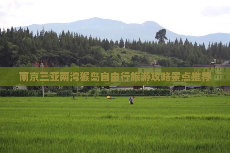 南京出发三亚南湾猴岛自由行
