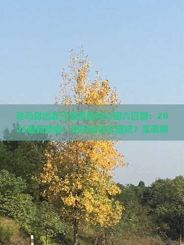 驻马店出发三亚凤凰岭公园六日游