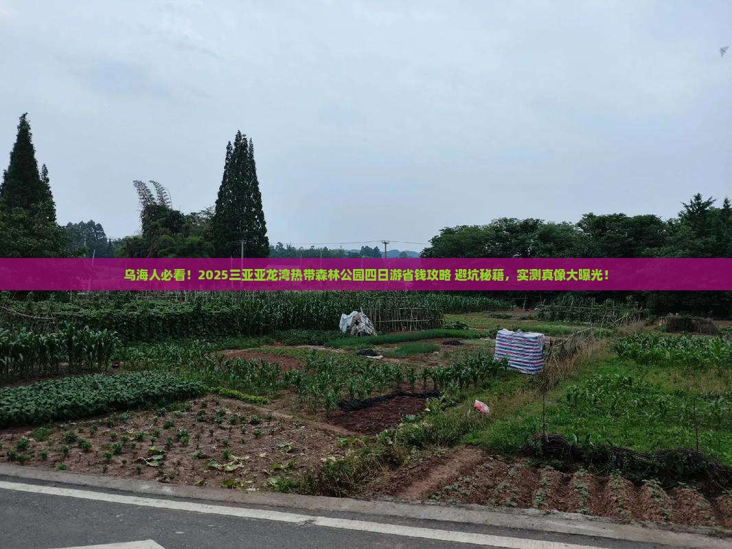 乌海市去三亚亚龙湾热带森林公园四日游