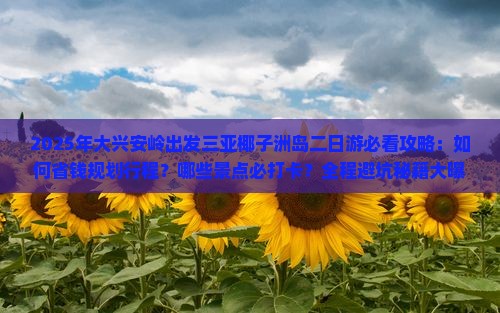 大兴安岭出发三亚椰子洲岛二日游