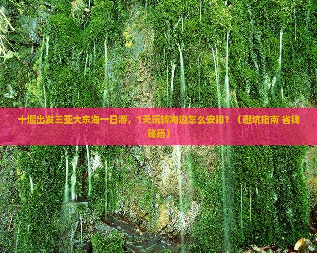 十堰出发三亚大东海一日游