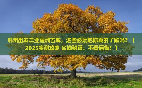 鄂州出发三亚崖洲古城必玩地
