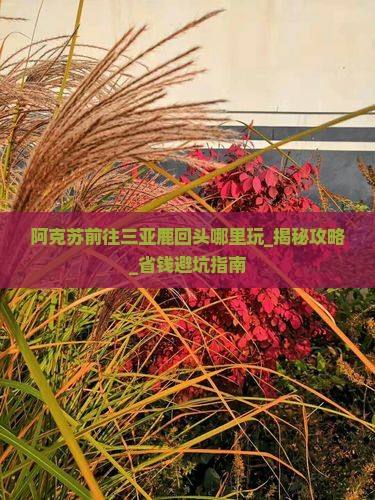 阿克苏前往三亚鹿回头哪里玩