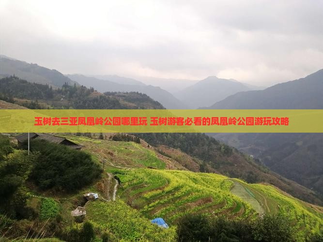 玉树去三亚凤凰岭公园哪里玩