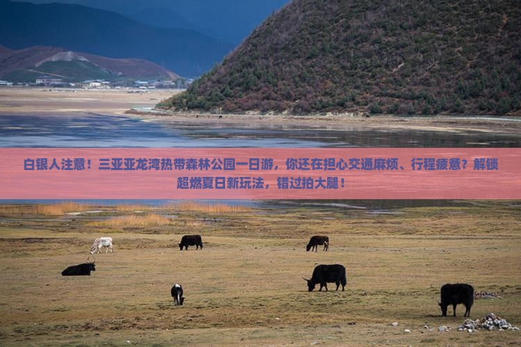 白银前往三亚亚龙湾热带森林公园一日游