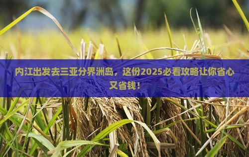 内江出发三亚分界洲岛团体旅游