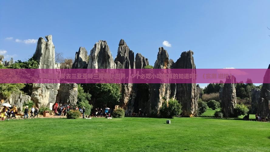 五家渠出发三亚亚特兰蒂斯水世界旅游小吃