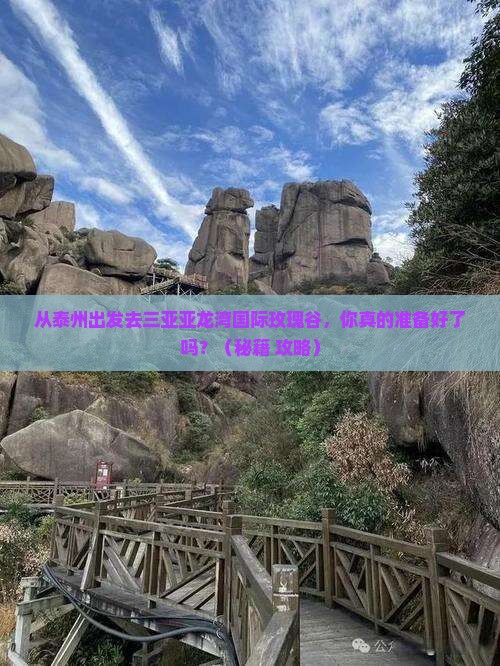 泰州出发三亚亚龙湾国际玫瑰谷个人游