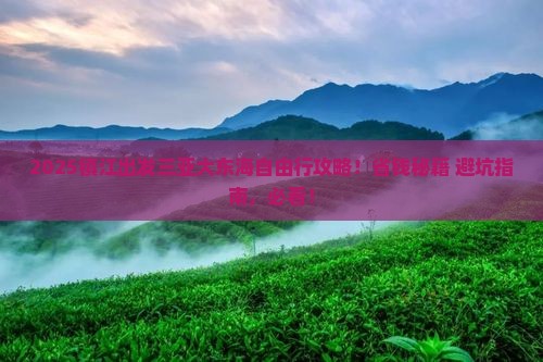 镇江出发三亚大东海自由团