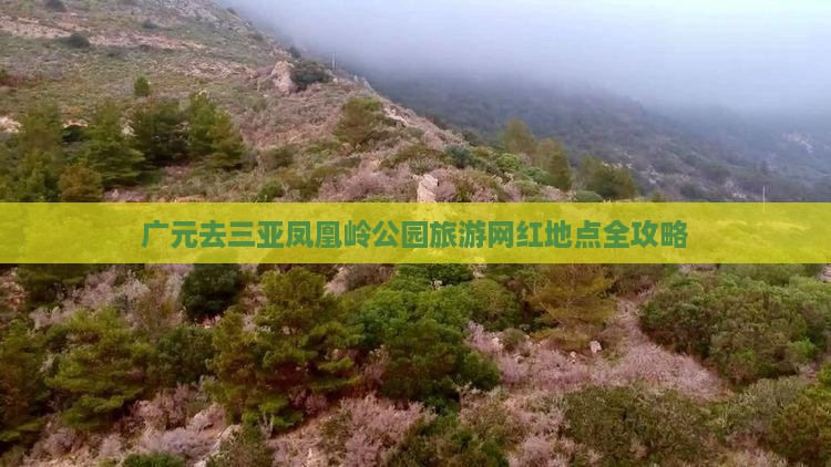 广元去三亚凤凰岭公园旅游网红地点