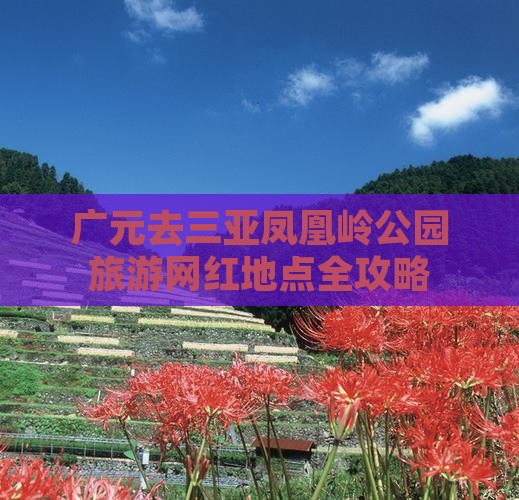 广元去三亚凤凰岭公园旅游网红地点
