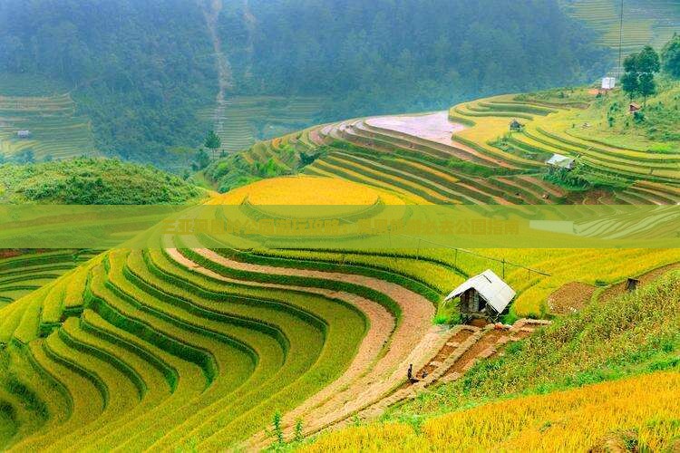 普洱出发三亚凤凰岭公园哪里玩