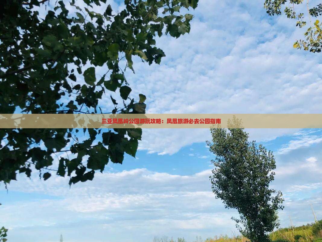 普洱出发三亚凤凰岭公园哪里玩