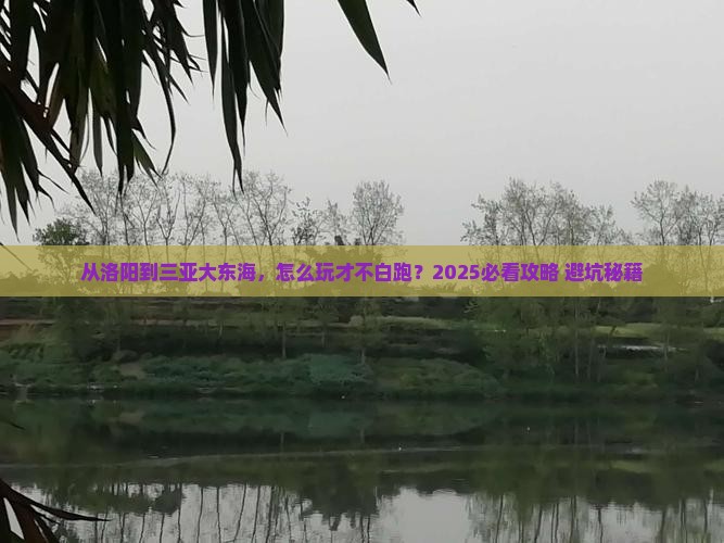 洛阳去三亚大东海哪里玩