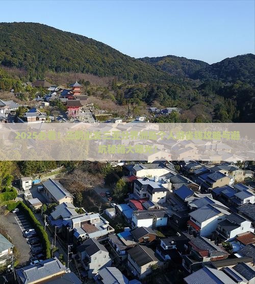 三明出发三亚分界洲岛个人游
