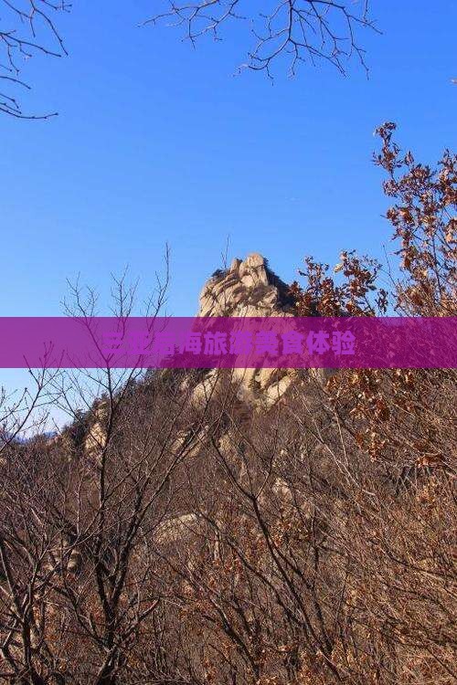 汕头去三亚后海旅游小吃