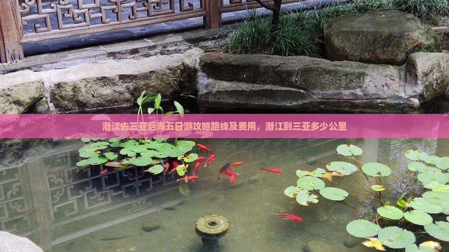 潜江去三亚后海五日游