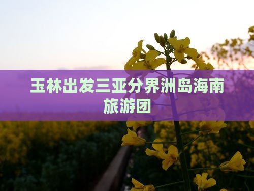 玉林出发三亚分界洲岛团体旅游