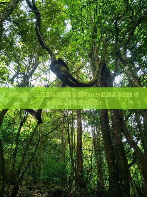 东营前往三亚亚特兰蒂斯水世界攻略