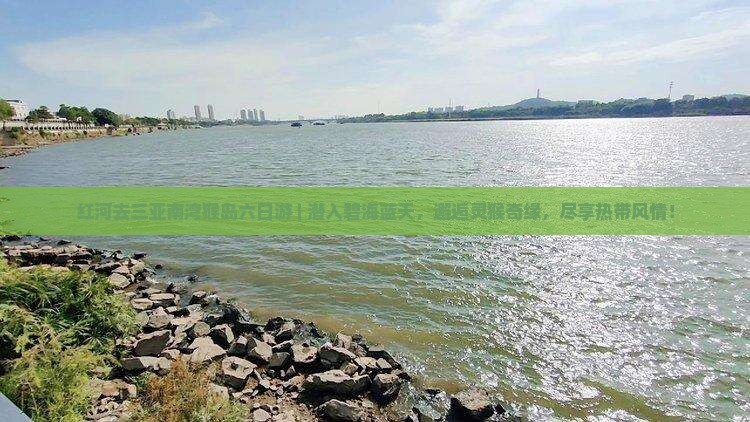 红河去三亚南湾猴岛六日游