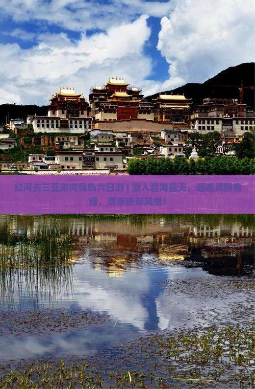 红河去三亚南湾猴岛六日游