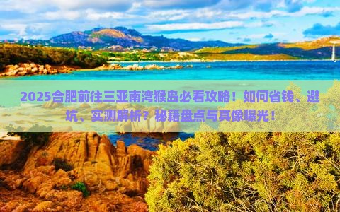 合肥前往三亚南湾猴岛攻略