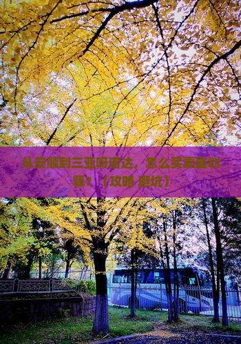 安顺前往三亚呀诺达景区门票