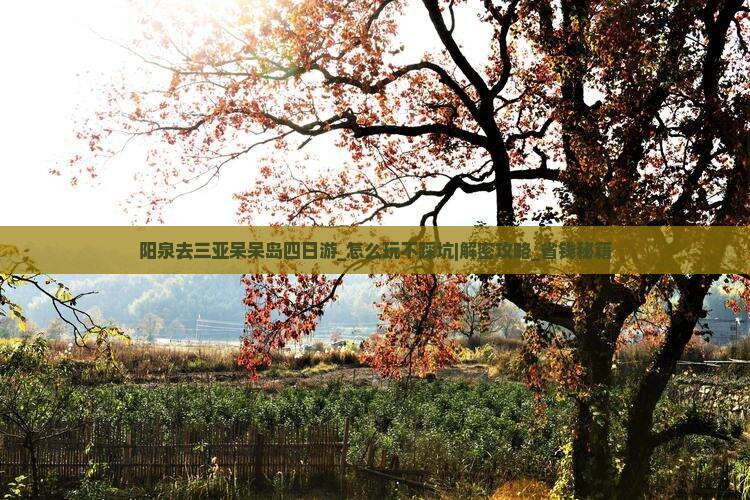 阳泉去三亚呆呆岛四日游